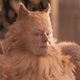 Image for article titled Let's Take a Moment to Reflect on the Greatness (or Whatever It Is) of Judi Dench in Cats